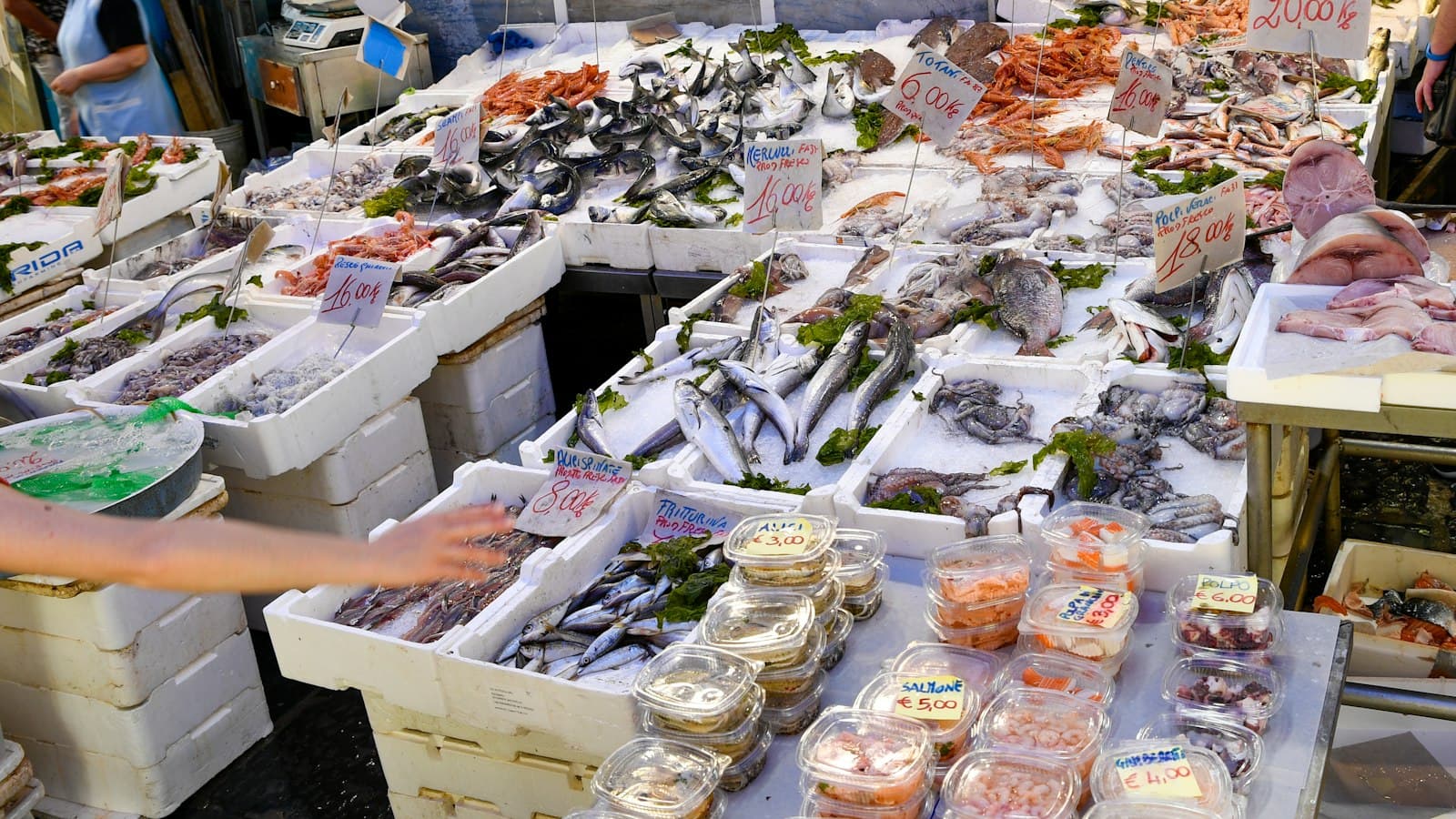 Fisch und Meeresfrüchte